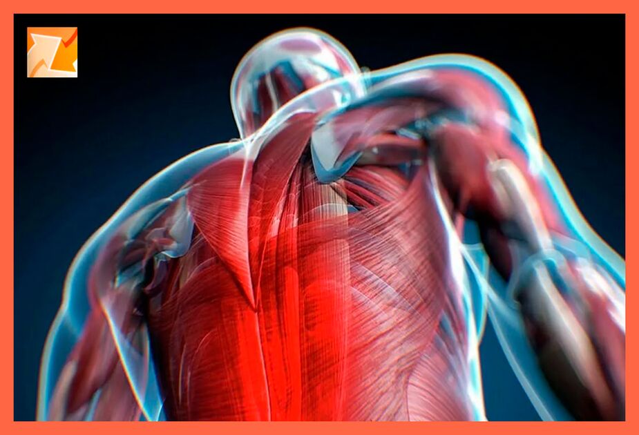 Features of discomfort